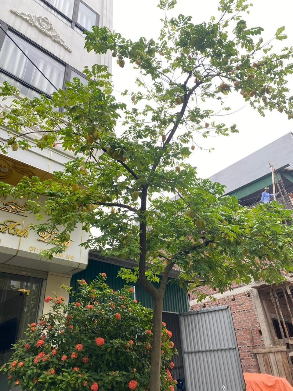 Nha Nghi Anh Dung Bed & Breakfast Ha Long Exterior photo