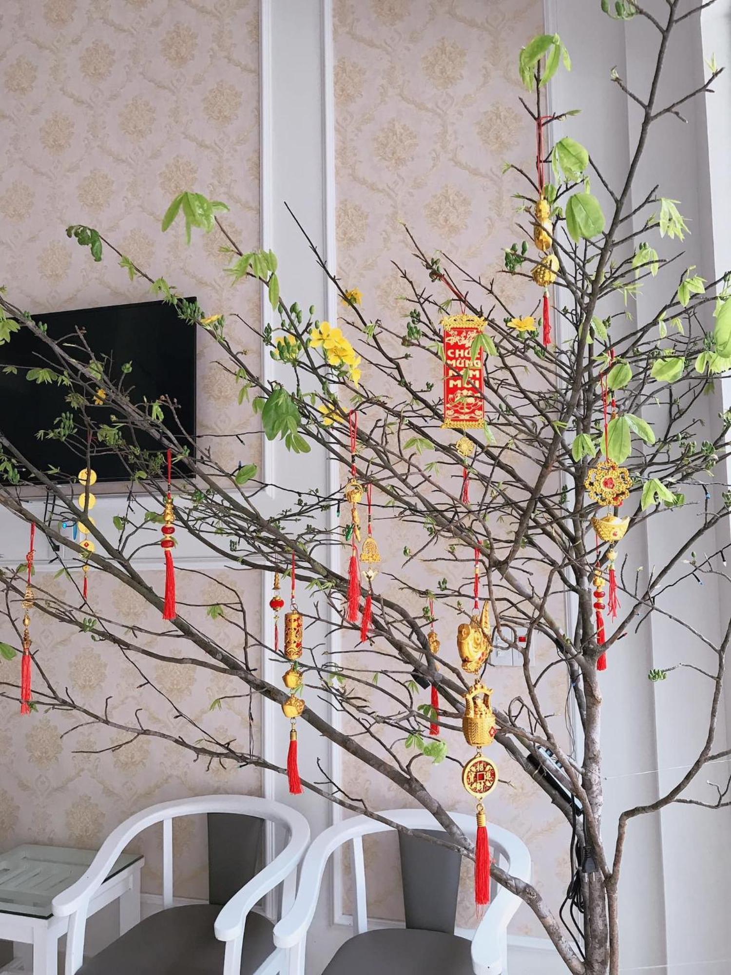 Nha Nghi Anh Dung Bed & Breakfast Ha Long Exterior photo